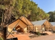 Luxury Glamping Safari Hotel Tents